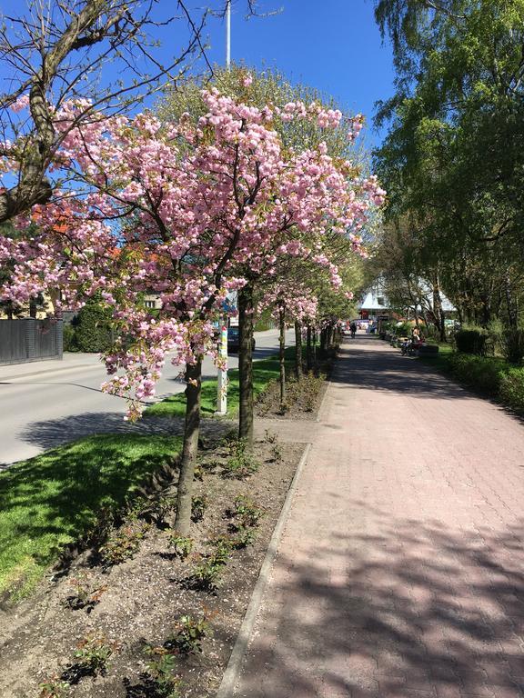 Apartamenty Nad Potoczkiem أوسترون المظهر الخارجي الصورة